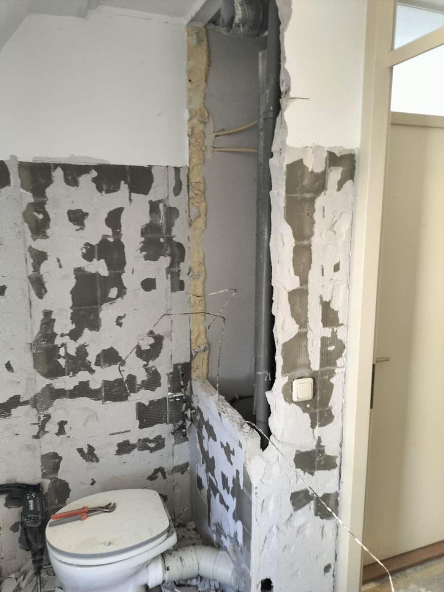 Het oude toilet eruit